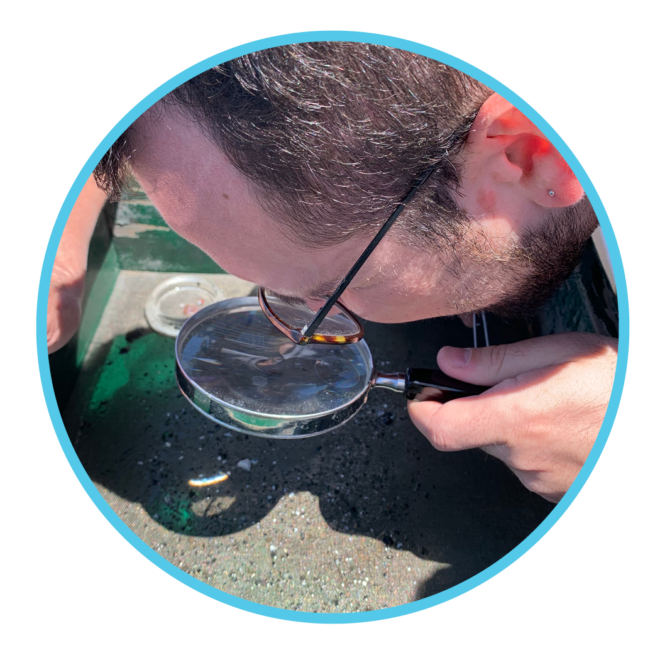 Individual looking at a benthos (lake bottom) sample with a magnifying glass during a science adventure