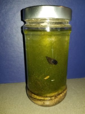 Jar with pond water