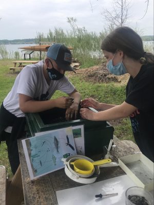 Students learning about the Great Lakes science topic of benthos.