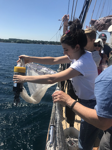 girl pulling sample net from water