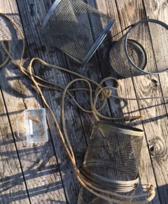 minnow traps and container