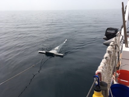 manta trawl for microplastics