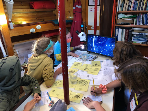 students studying plankton