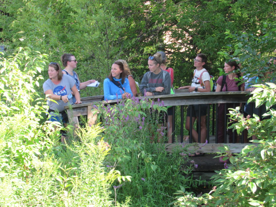 Teachers exploring Kids Creek in Traverse City.