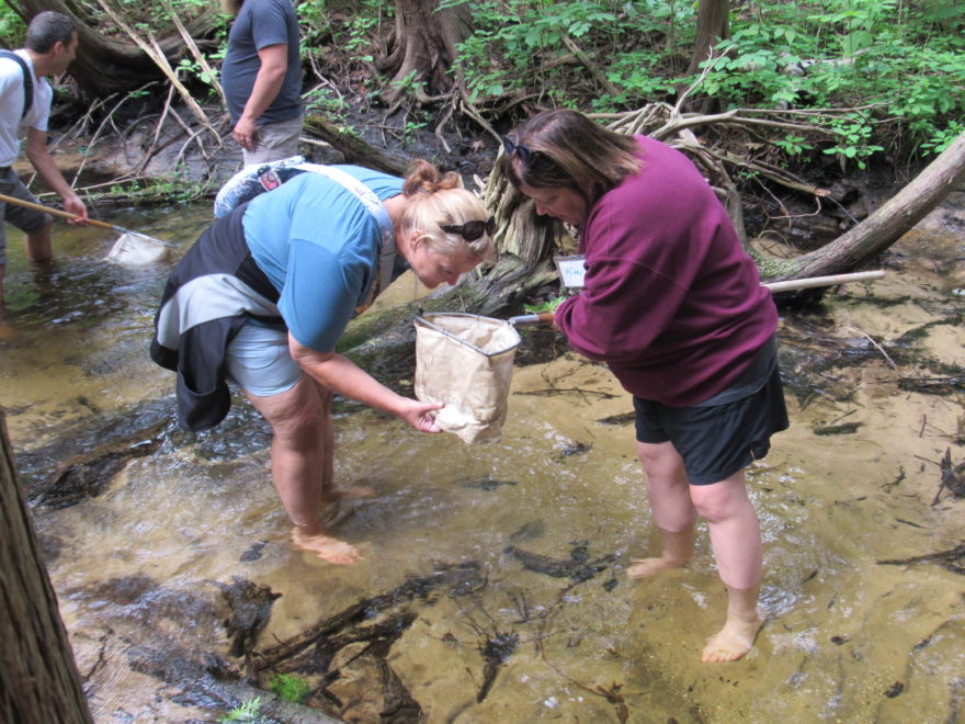 Teachers getting hands on in Leo Creek learning about how watersheds can affect the Great Lakes.